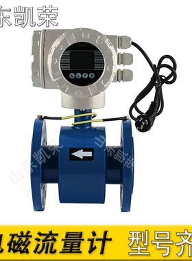 电磁流量计 LDDC-25/Y/P4/AC/HT/N/ 10.0m3/h IP65 一体式HART