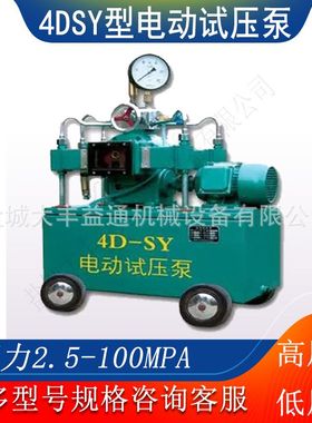 4DSB-6.0 1.5kw电动试压泵 2DSY-6.3电动试压泵阀门压力检漏泵