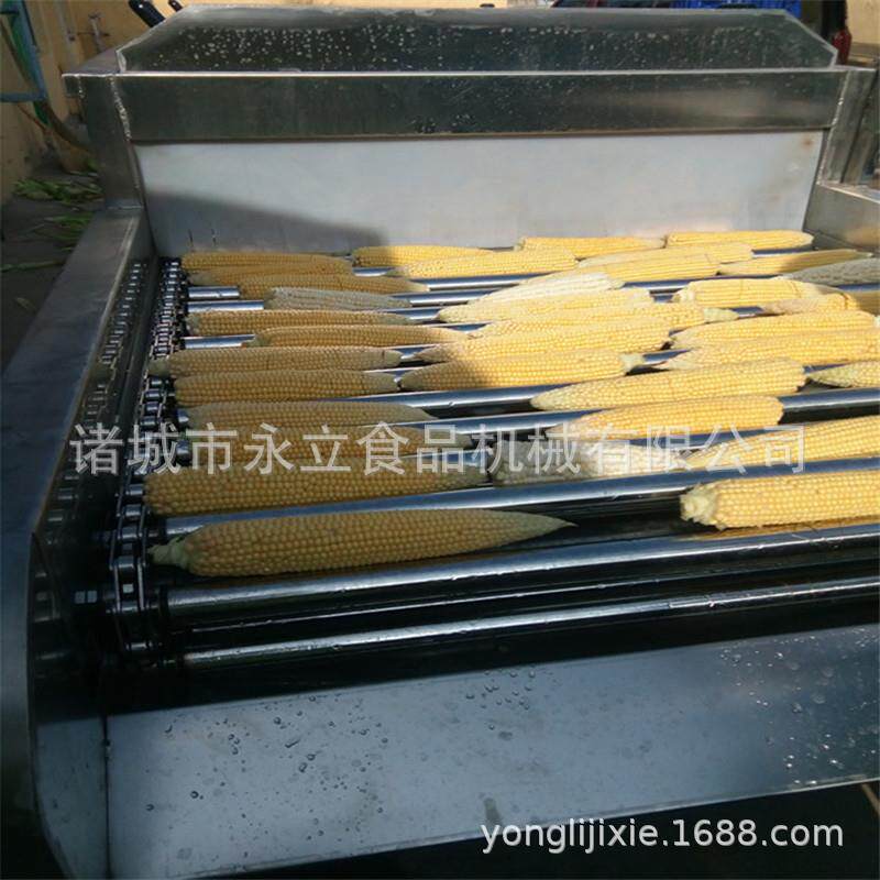 全自动甜玉米棒清洗机 水果玉米加工设备 高压水流冲洗喷淋机器
