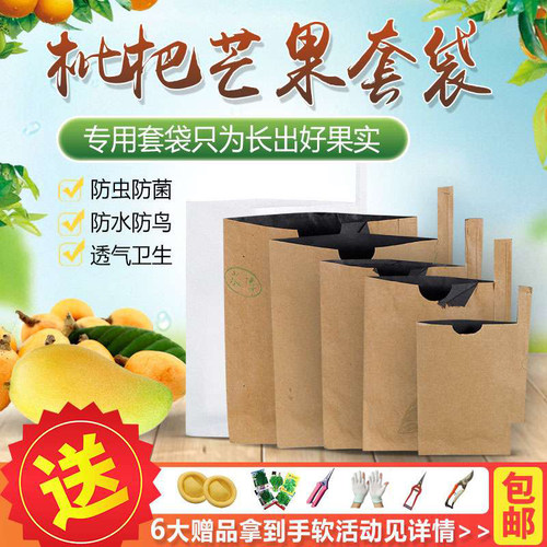 枇杷套袋专用水果柚子