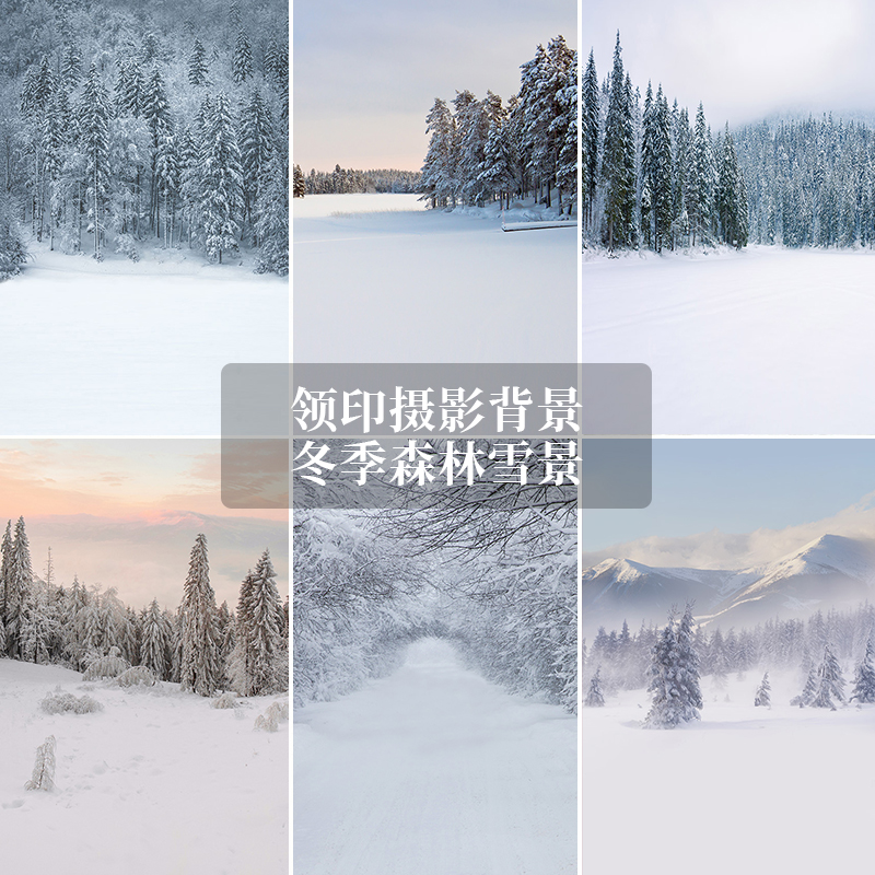 新款冬季森林雪景室内拍照背景布直播婚纱影楼专用摄影道具背景纸
