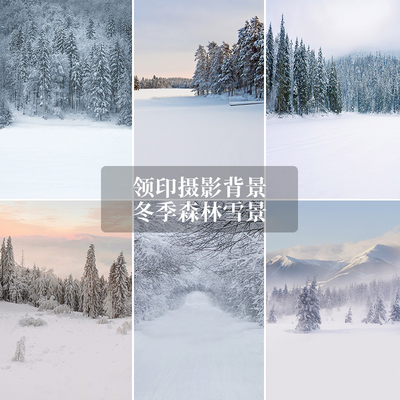 新款冬季森林雪景室内拍照背景布直播婚纱影楼专用摄影道具背景纸