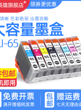 磁电英雄适用佳能PRO200喷墨打印机彩色墨盒PIXMA CLI-65黑色彩色墨水Canon pro-200 A3+照片打印机八色墨盒
