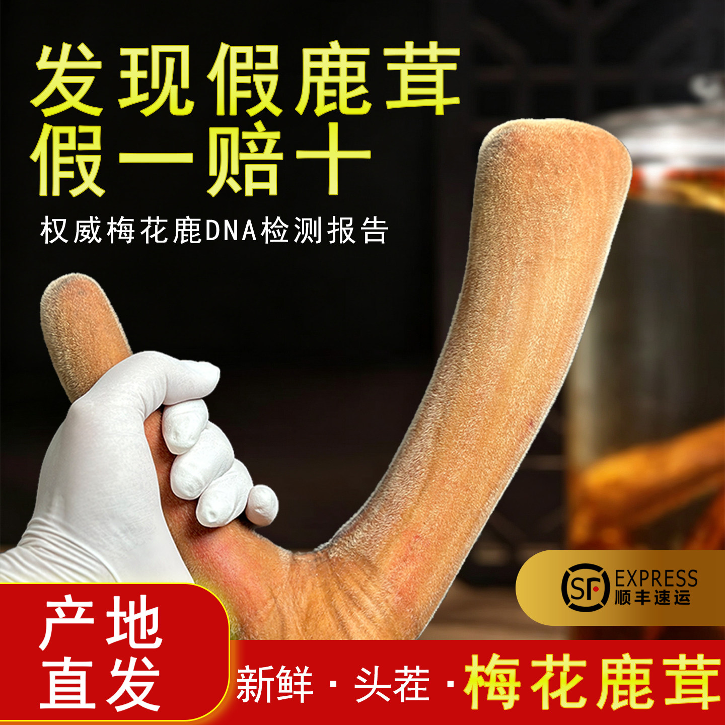 斌鹿堂 长白山梅花鹿茸头茬新鲜二杠 直播间为准一茸一拍产地发货