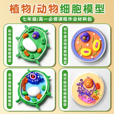【央妈推荐】动植物细胞模型