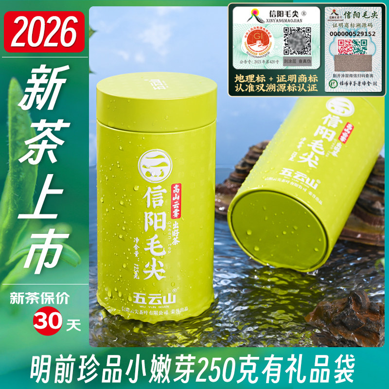 2026新茶五云村信阳毛尖