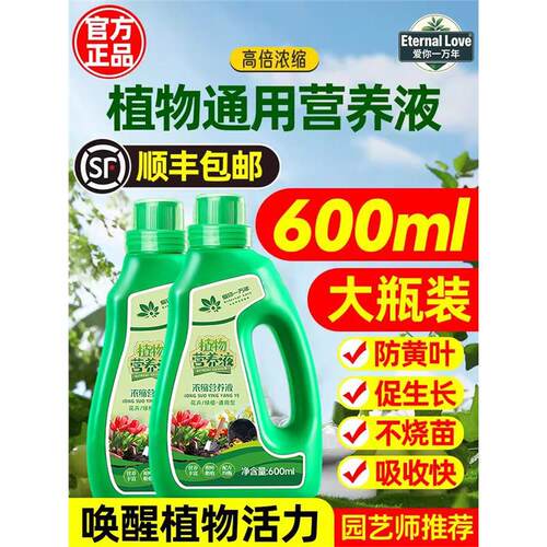 植物营养液绿花卉肥家用盆