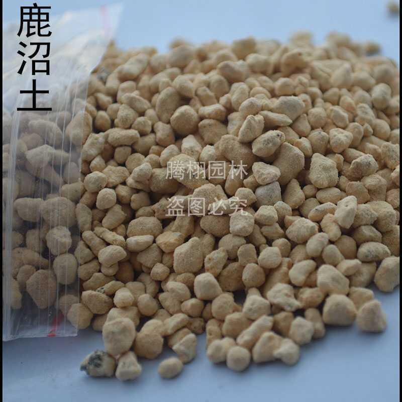 极速颗粒赤玉鹿沼黑仙土植金石桐生砂日向石拌土铺面多兰花肉营养