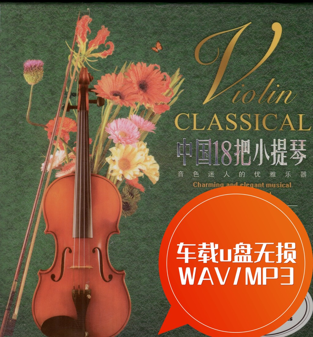 中国18把小提琴-今夜无眠 东方之珠 花好月圆 车载u盘无损WAV/MP3 汽车用品/电子/清洗/改装 车载音乐U盘 原图主图