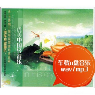 MP3 史上优美中国轻音乐40首 WAV 一剪梅 车载u盘音乐 我只在乎你