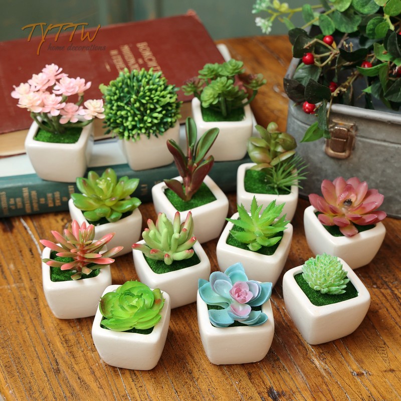 zakka迷你仿真绿色多肉植物盆景D假花套装摆件室内工艺品装饰花艺