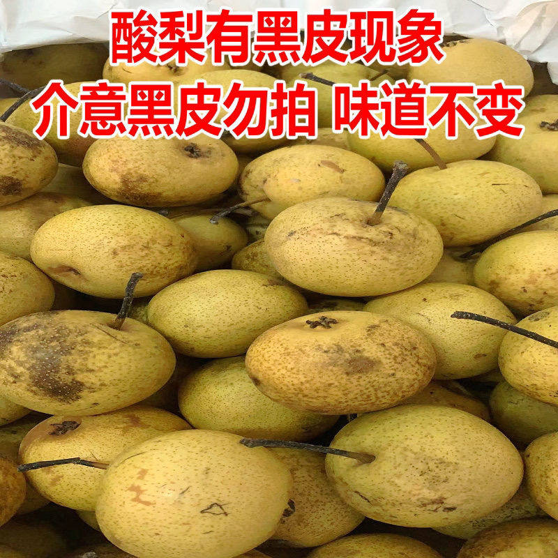 酸梨 正宗面酸梨 细皮大酸梨 安梨 东北特产细皮无渣 10斤装包邮
