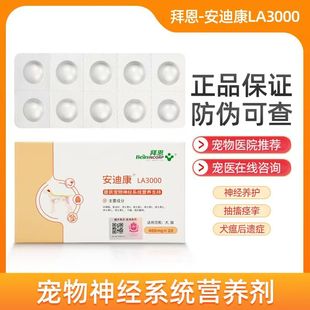 狗狗猫咪神经炎脑膜炎犬猫瘟抽搐癫痫后遗症安迪宠物康