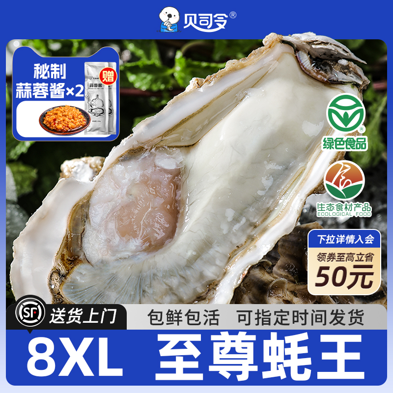 贝司令乳山鲜活生蚝8XL蚝王