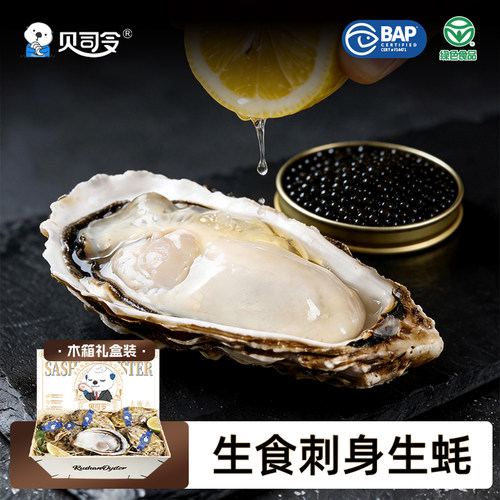贝司令乳山鲜活刺身生蚝
