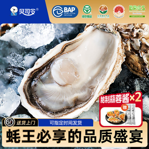 贝司令乳山生蚝特大号鲜活到家