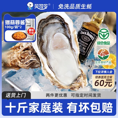 贝司令生态乳山生蚝鲜活10斤大号蚝王牡蛎活鲜海蛎子新鲜海鲜水产