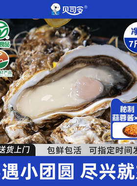 贝司令鲜活乳山生蚝特大号净重7斤海蛎子牡蛎品质蚝王绿色食品