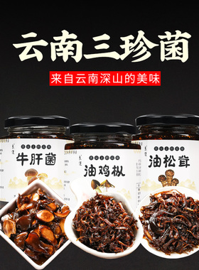 云南特产油鸡枞菌即食牛肝菌鸡纵菇野生菌子鸡棕菌山珍菌酱鸡枞油