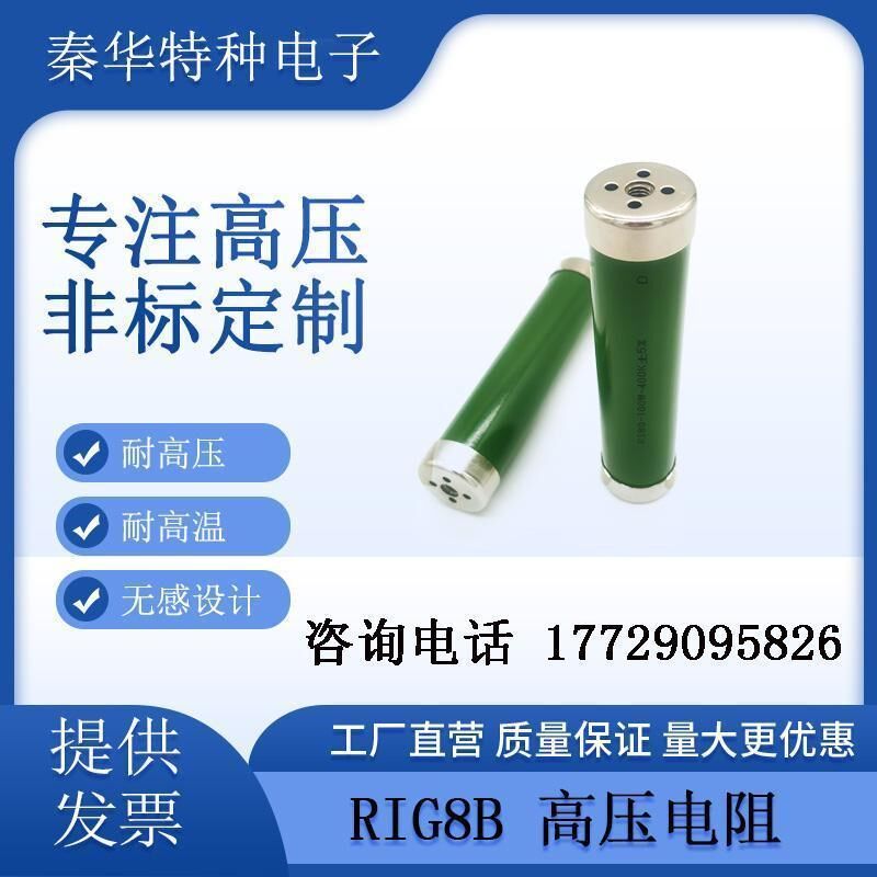 RIG8B 高压电阻无感高频玻璃釉30w50w80w100w150wQ250w300w500w