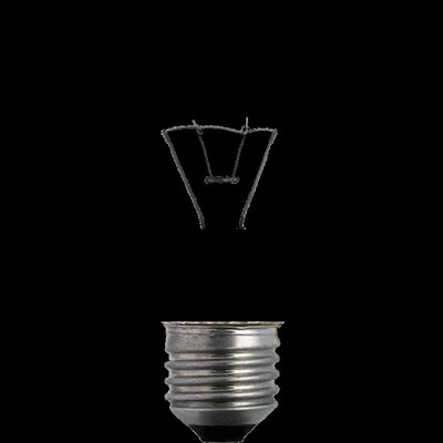 厂家现货 老式钨丝灯泡白炽r灯泡12V24V36V48V110V220V可选