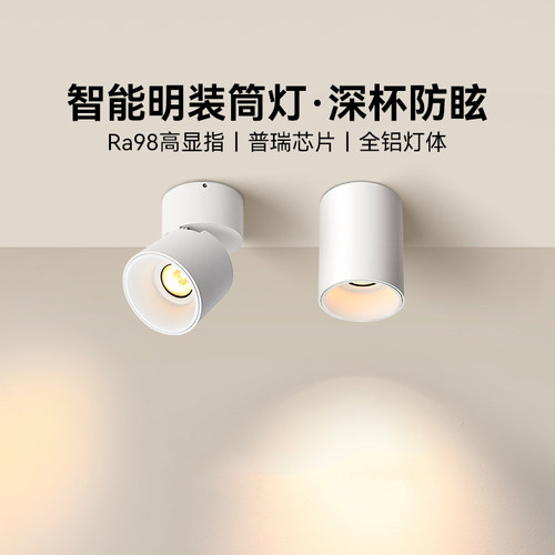 易来智能明装筒灯射灯防眩护眼