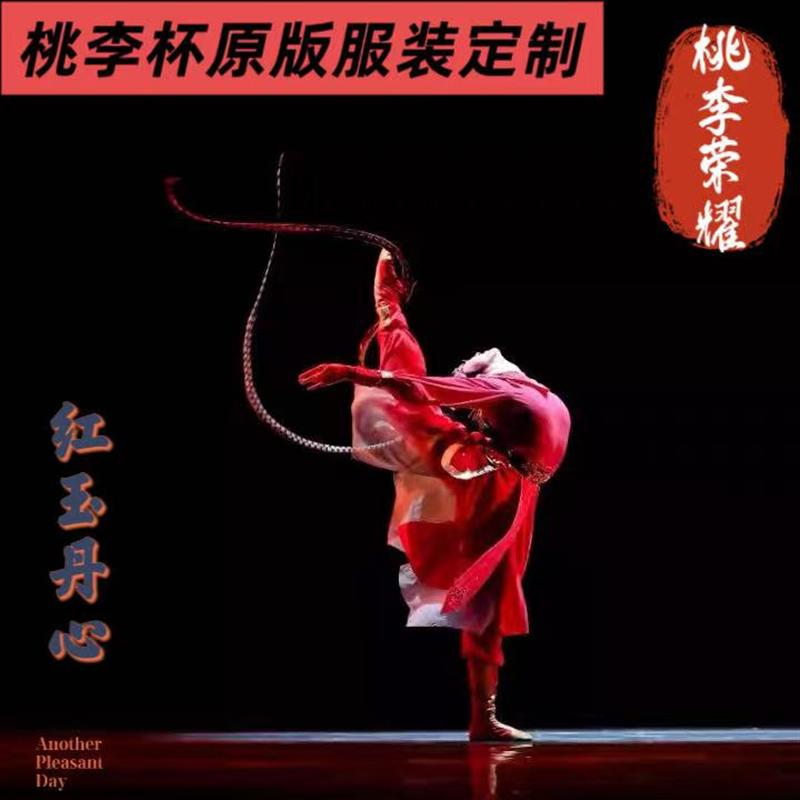 韩式桃李杯红玉丹心民族舞舞蹈演出服古典舞蹈独舞艺考服装原版服