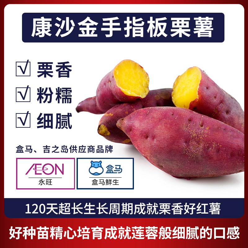 康沙金手指板栗红薯新鲜沙土黄心地瓜山芋番薯5斤促销包邮