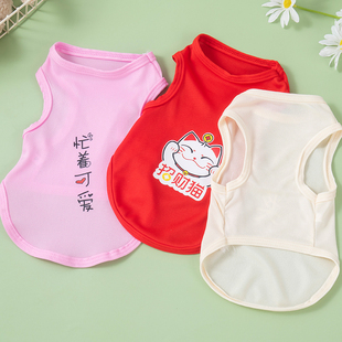 猫咪衣服夏季薄款防掉毛宠物猫英短蓝猫透气背心猫猫夏天小猫公猫