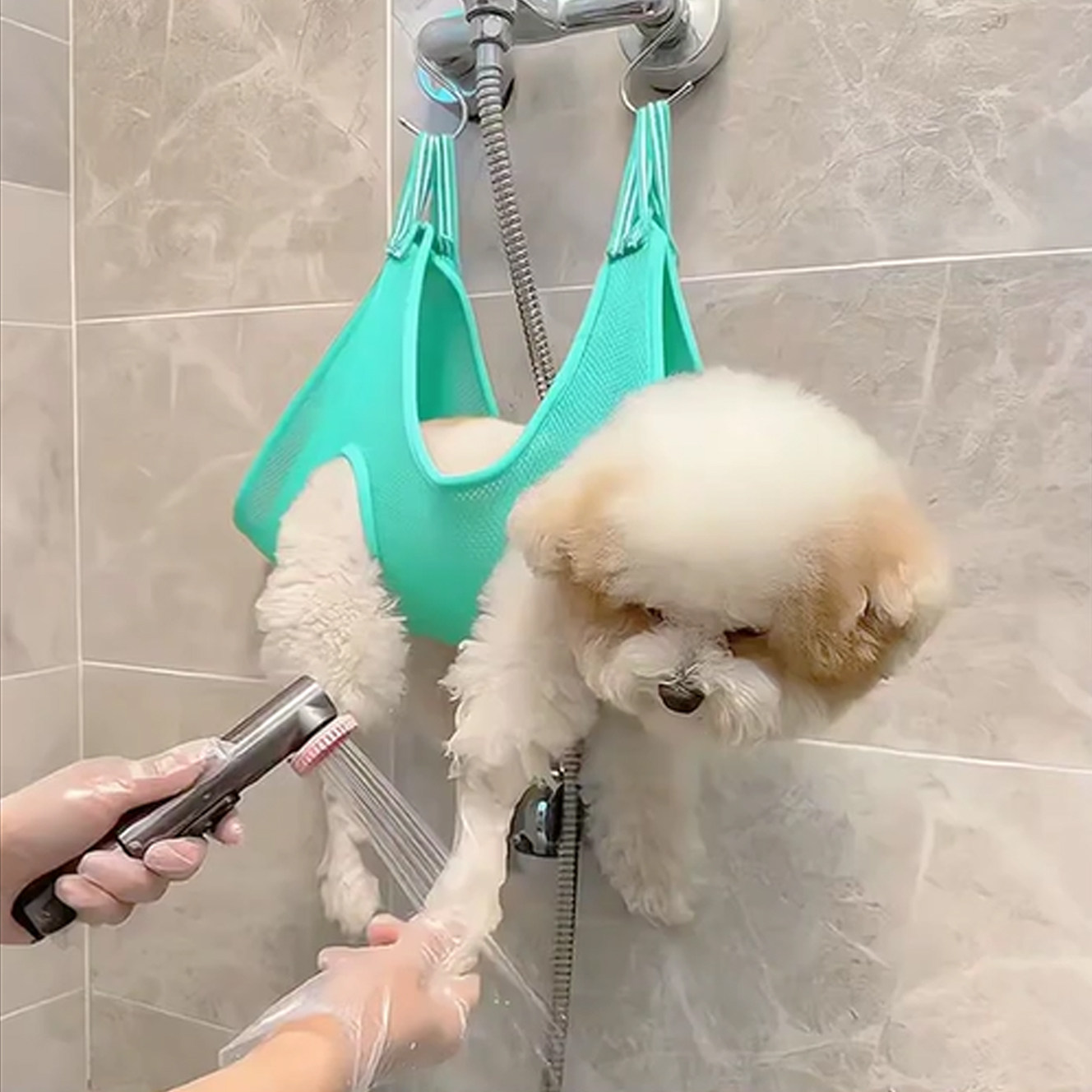 狗狗洗脚神器猫咪吊床宠物美容剪指甲喂药中小型防抓防咬悬挂固定,宠物/宠物食品及用品,猫狗床/躺椅,淘宝优惠券,粉丝福利购,淘宝优惠卷