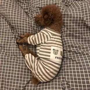 狗狗衣服条纹春秋装 泰迪比熊幼犬小型犬睡衣宠物四脚衣猫咪家居服