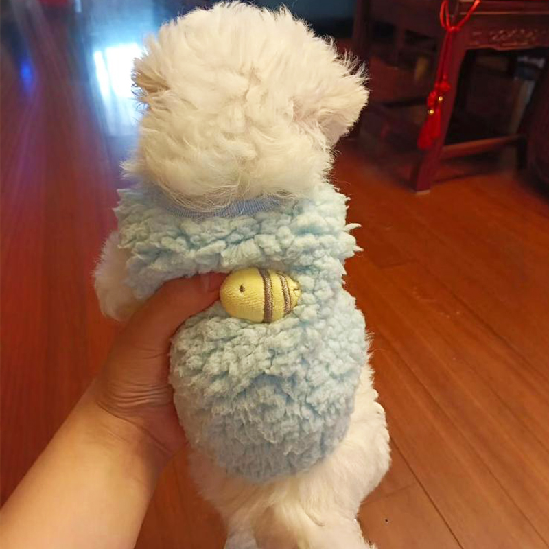 超小体小狗狗衣服幼犬小泰迪小比熊茶杯犬吉娃娃幼猫奶狗保暖背心