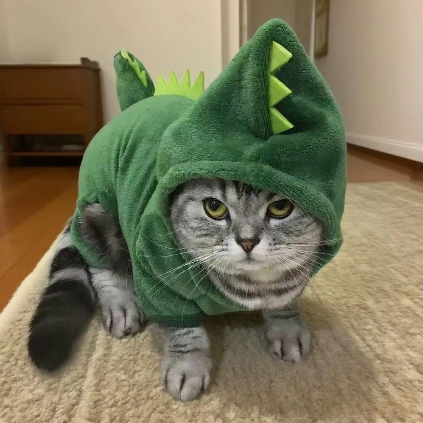 猫咪衣服秋冬搞怪恐龙装布偶蓝猫保暖防掉毛宠物冬天狗狗四脚衣服