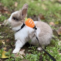 Оранжевый, морковный, 1.2м