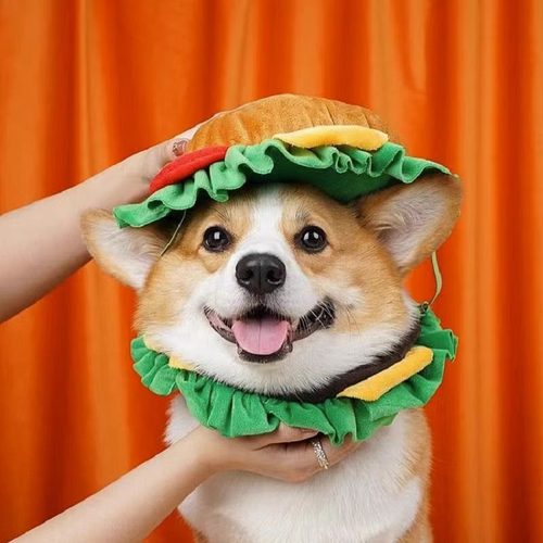 狗狗专用汉堡头套帽子柯基柴犬
