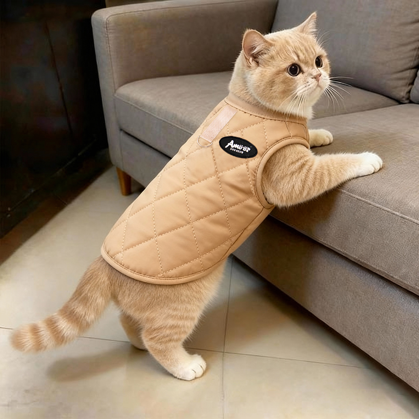 猫咪保暖背心冬季可牵引衣服加厚防寒无袖宠物服装小狗狗加绒马甲