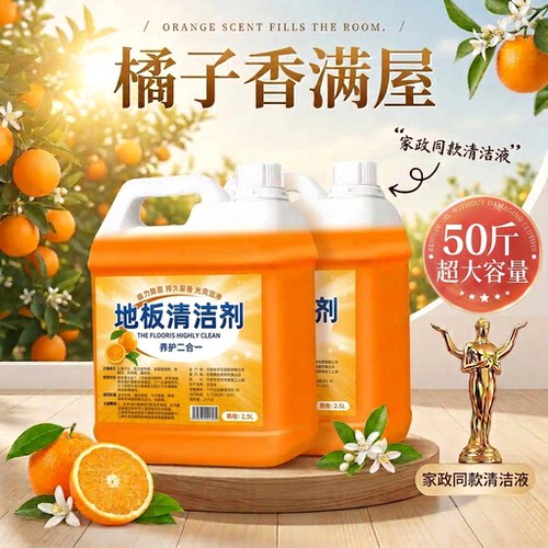 瑞奈意家政去渍清洁剂超强去污