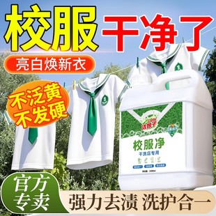 大桶校服净洗校服去污渍神器官方旗舰店正品 强白衣服去黄洗衣粉物