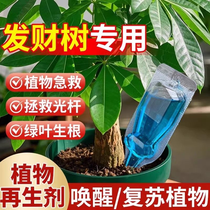 发财树再生剂专用营养液黄叶枯叶烂根盆栽植物复活液肥料通用型,鲜花速递/花卉仿真/绿植园艺,家庭园艺肥料,淘宝优惠券,粉丝福利购,淘宝优惠卷