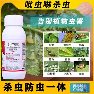 吡虫啉杀虫剂蚜虫蓟马飞虱跳甲木虱蚧壳虫白粉虱果蔬菜花卉防虫药