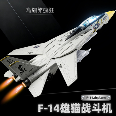 F-14雄猫战斗机模型男军事航模