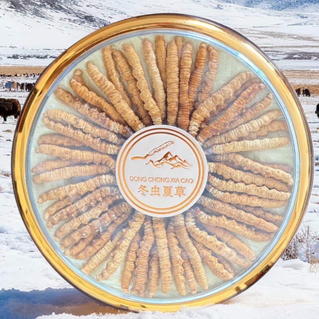 大晟冻干虫草冬虫夏草礼盒装即食正品官方旗舰店