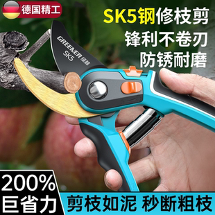 德国进口园艺剪刀果树修枝剪剪树枝专用剪刀锋利不卷刃防锈园艺剪