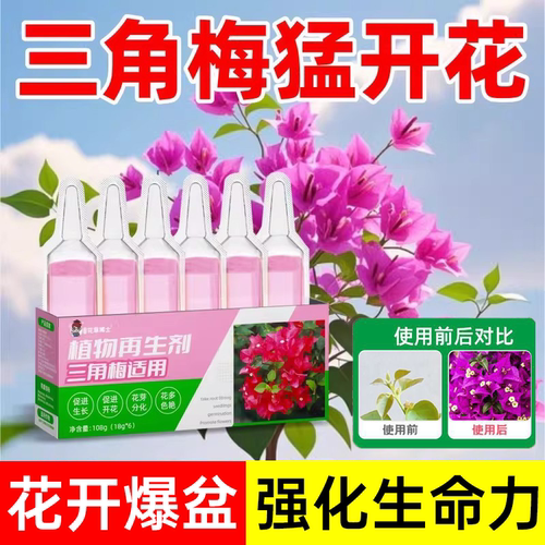 【花开爆盆】三角梅营养液再生剂