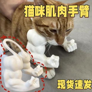 猫咪绿巨人肌肉手臂小玩具猫的浩克手臂狗狗挂脖挂件搞笑拳击模型