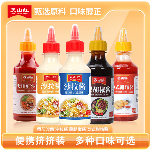 番茄酱沙拉酱组合水果蔬菜汉堡