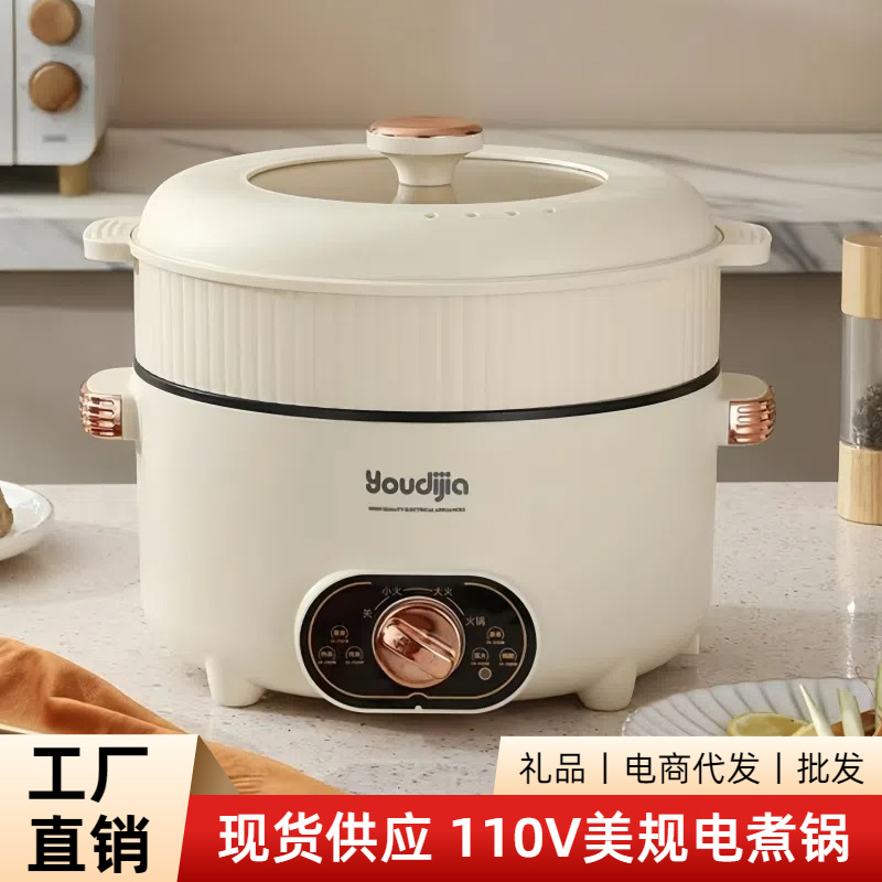 110V electric hot pot electric cooking pot hot pot electric