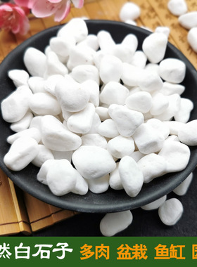 succulent ornamental pebbles pot plant pavement 雨花石小石子