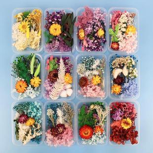 200pc Real Dried Flowers For DIY Art Craft Epoxy Resin Candl
