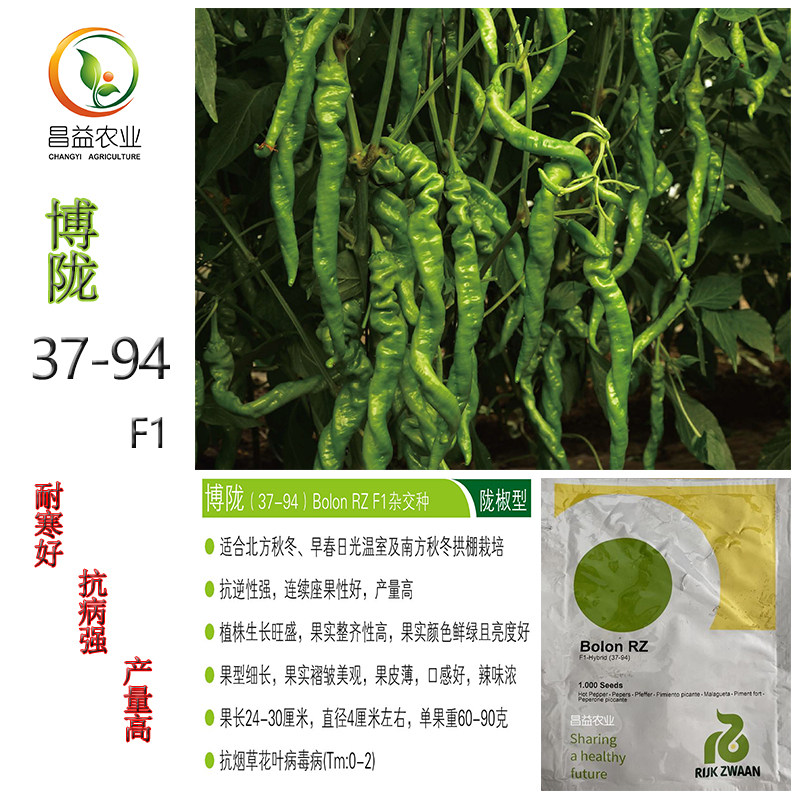 瑞克斯旺博陇37-94陇椒种子孑 高产抗病耐寒螺丝椒种子孑籽种苗子